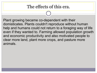 The effects of this era.
Plant growing became co-dependent with their
domisticates. Plants couldn't reproduce without human
help and humans could not return to a foraging way of life
even if they wanted to. Farming allowed population growth
and economic productivity and also motivated people to
clear more land, plant more crops, and pasture more
animals.
 