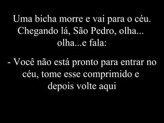 Uma bicha morre e vai para o céu. Chegando lá, São Pedro, olha...  olha...e fala: - Você não está pronto para entrar no céu, tome esse comprimido e  depois volte aqui 