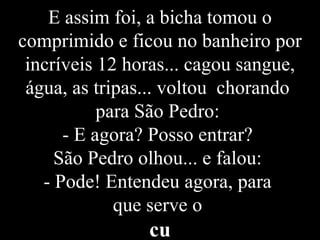E assim foi, a bicha tomou o comprimido e ficou no banheiro por incríveis 12 horas... cagou sangue, água, as tripas... voltou  chorando  para São Pedro:  - E agora? Posso entrar?  São Pedro olhou... e falou:  - Pode! Entendeu agora, para  que serve o  cu 