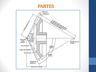 PARTES
 
