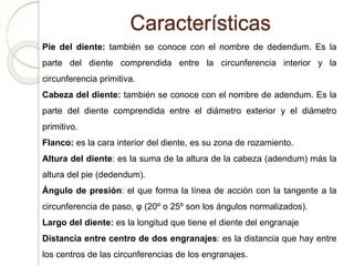 Características
Pie del diente: también se conoce con el nombre de dedendum. Es la
parte del diente comprendida entre la circunferencia interior y la
circunferencia primitiva.
Cabeza del diente: también se conoce con el nombre de adendum. Es la
parte del diente comprendida entre el diámetro exterior y el diámetro
primitivo.
Flanco: es la cara interior del diente, es su zona de rozamiento.
Altura del diente: es la suma de la altura de la cabeza (adendum) más la
altura del pie (dedendum).
Ángulo de presión: el que forma la línea de acción con la tangente a la
circunferencia de paso, φ (20º o 25º son los ángulos normalizados).
Largo del diente: es la longitud que tiene el diente del engranaje
Distancia entre centro de dos engranajes: es la distancia que hay entre
los centros de las circunferencias de los engranajes.
 