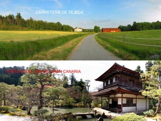 CARRETERA DE TEJEDA HOTEL EN EL SUR DE GRAN CANARIA