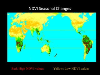 NDVI Seasonal Changes

Red: High NDVI values

Yellow: Low NDVI values

 
