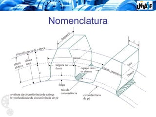 Nomenclatura
 