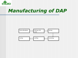 Manufacturing of DAP


   Rock phosphate   Mixing with    drying
                    acids



   curing           cooling ...