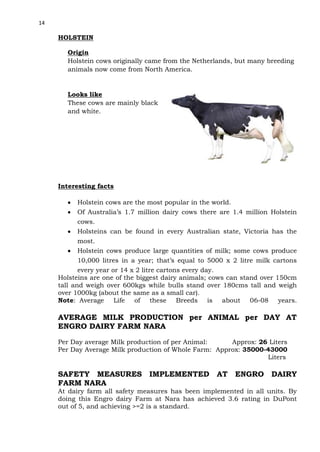 14

HOLSTEIN
Origin
Holstein cows originally came from the Netherlands, but many breeding
animals now come from North America.

Looks like
These cows are mainly black
and white.

Interesting facts
Holstein cows are the most popular in the world.
Of Australia’s 1.7 million dairy cows there are 1.4 million Holstein
cows.
Holsteins can be found in every Australian state, Victoria has the
most.
Holstein cows produce large quantities of milk; some cows produce
10,000 litres in a year; that’s equal to 5000 x 2 litre milk cartons
every year or 14 x 2 litre cartons every day.
Holsteins are one of the biggest dairy animals; cows can stand over 150cm
tall and weigh over 600kgs while bulls stand over 180cms tall and weigh
over 1000kg (about the same as a small car).
Note: Average Life of these Breeds is about 06-08 years.

AVERAGE MILK PRODUCTION per ANIMAL per DAY AT
ENGRO DAIRY FARM NARA
Per Day average Milk production of per Animal:
Approx: 26 Liters
Per Day Average Milk production of Whole Farm: Approx: 35000-43000
Liters

SAFETY MEASURES IMPLEMENTED
FARM NARA

AT ENGRO

DAIRY

At dairy farm all safety measures has been implemented in all units. By
doing this Engro dairy Farm at Nara has achieved 3.6 rating in DuPont
out of 5, and achieving >=2 is a standard.

 