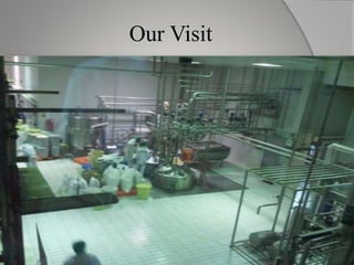 Our Visit
 