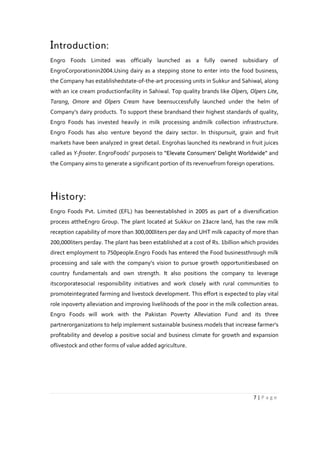 Engro report (strategic management) | PDF