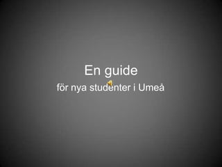 En guide  för nya studenter i Umeå 