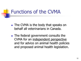 [eng]Veterinary_Profession and requeriments.ppt