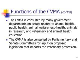 [eng]Veterinary_Profession and requeriments.ppt