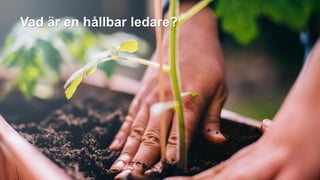 Vad är en hållbar ledare?
 