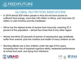 Engaging men in supporting maternal and child consumption of milk and other animal source foods in Rwanda