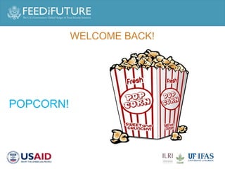 Engaging men in supporting maternal and child consumption of milk and other animal source foods in Rwanda