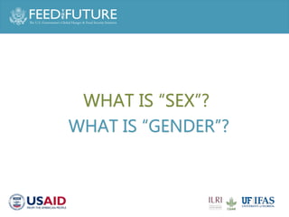 Engaging men in supporting maternal and child consumption of milk and other animal source foods in Rwanda
