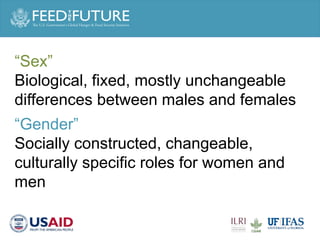 Engaging men in supporting maternal and child consumption of milk and other animal source foods in Rwanda
