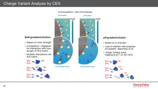 Enhanced bioseparations peptide mapping and m abs | PDF
