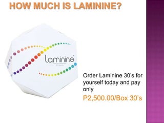 What is Laminine