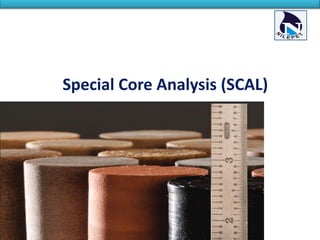 Special Core Analysis (SCAL)
 
