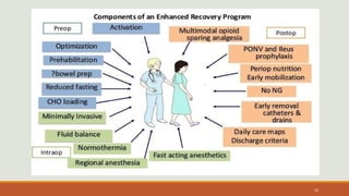 Enhanced Recovery After Surgery ERAS: Principles and Clinical Practice ...