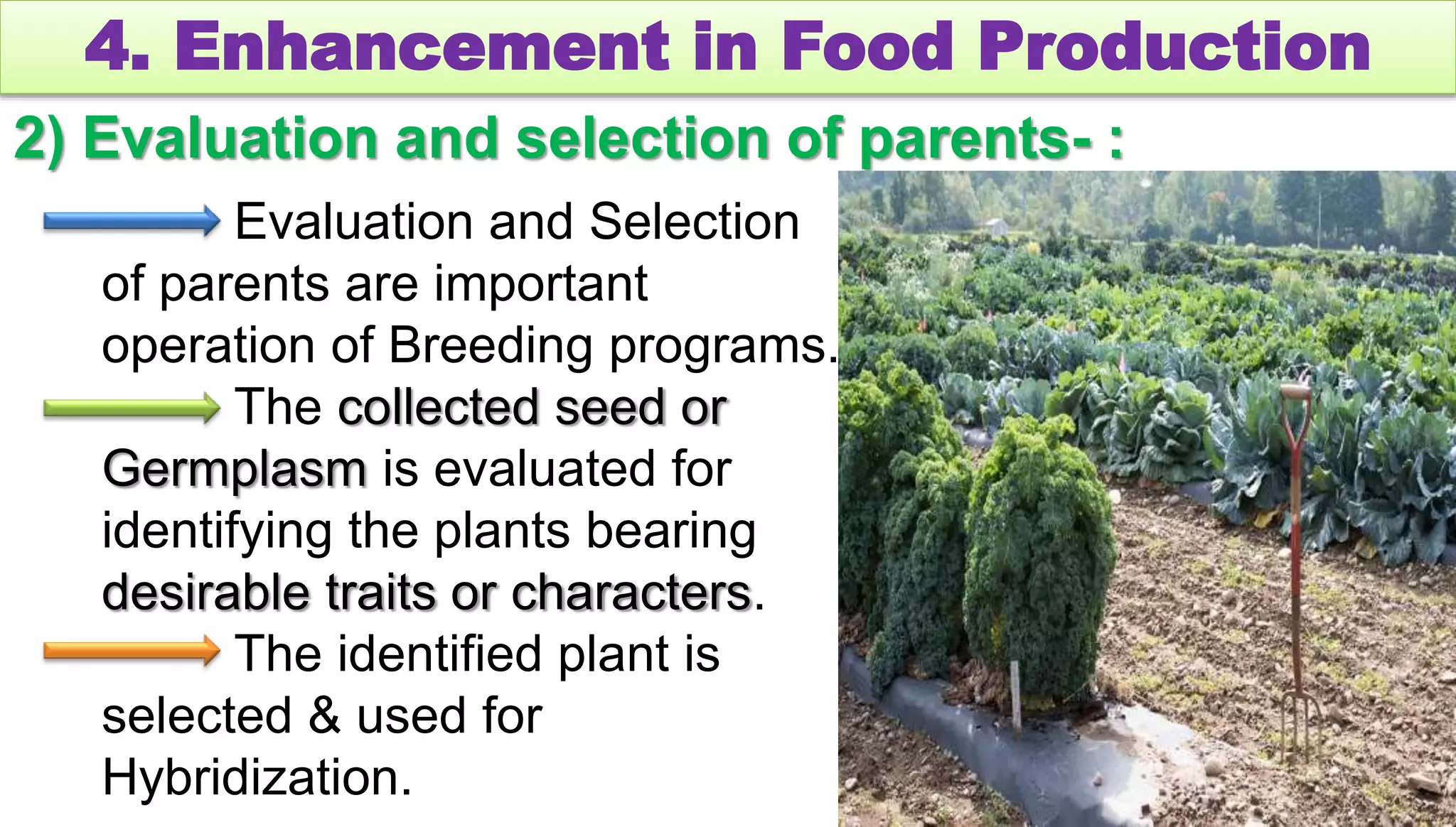 4. Enhancement in Food Production
2) Evaluation and selection of parents- :
Evaluation and Selection
of parents are important
operation of Breeding programs.
The collected seed or
Germplasm is evaluated for
identifying the plants bearing
desirable traits or characters.
The identified plant is
selected & used for
Hybridization.
 
