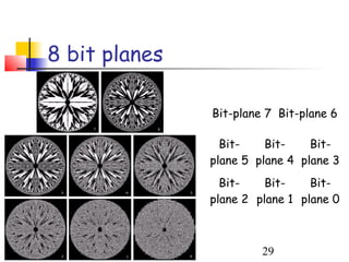 8 bit planes

               Bit-plane 7 Bit-plane 6

                 Bit-    Bit-    Bit-
               plane 5 plane 4 plane 3
                 Bit-    Bit-    Bit-
               plane 2 plane 1 plane 0



                        29
 