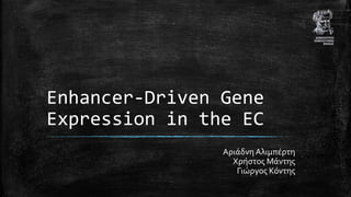 Enhancer-Driven Gene
Expression in the EC
Αριάδνη Αλιμπέρτη
Χρήστος Μάντης
Γιώργος Κόντης
 