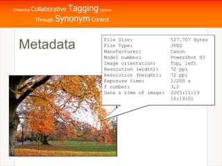 Metadata File Size: 527.707 Bytes File Type: JPEG Manufacturer: Canon Model number: PowerShot G3 Image orientation: Top, left Resolution (width): 72 ppi Resolution (height): 72 ppi Exposure time: 1/200 s f number: 3,2 Date & time of image: 2005:11:19  16:19:01 