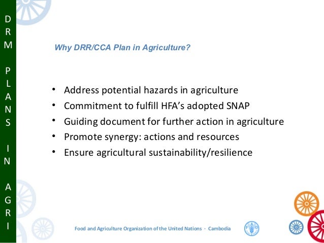 Food And Agriculture Organization Philippines Address Food And Agriculture Organization Philippines Address