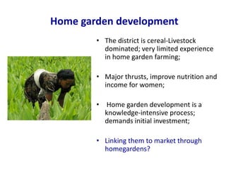 Enhancing communities’ adaptive capacity to climate change in drought-prone hotspots of the Blue Nile basin (Kabe, Ethiopia)