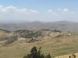 Enhancing communities’ adaptive capacity to climate change in drought-prone hotspots of the Blue Nile basin (Kabe, Ethiopia)