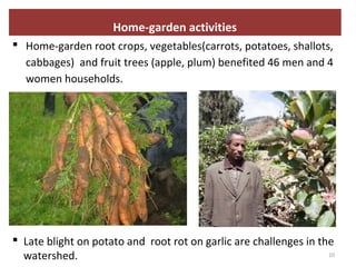 Enhancing communities’ adaptive capacity to climate-change induced water scarcity in drought-prone hotspots of the Blue Nile basin, Ethiopia