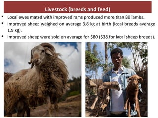 Enhancing communities’ adaptive capacity to climate-change induced water scarcity in drought-prone hotspots of the Blue Nile basin, Ethiopia