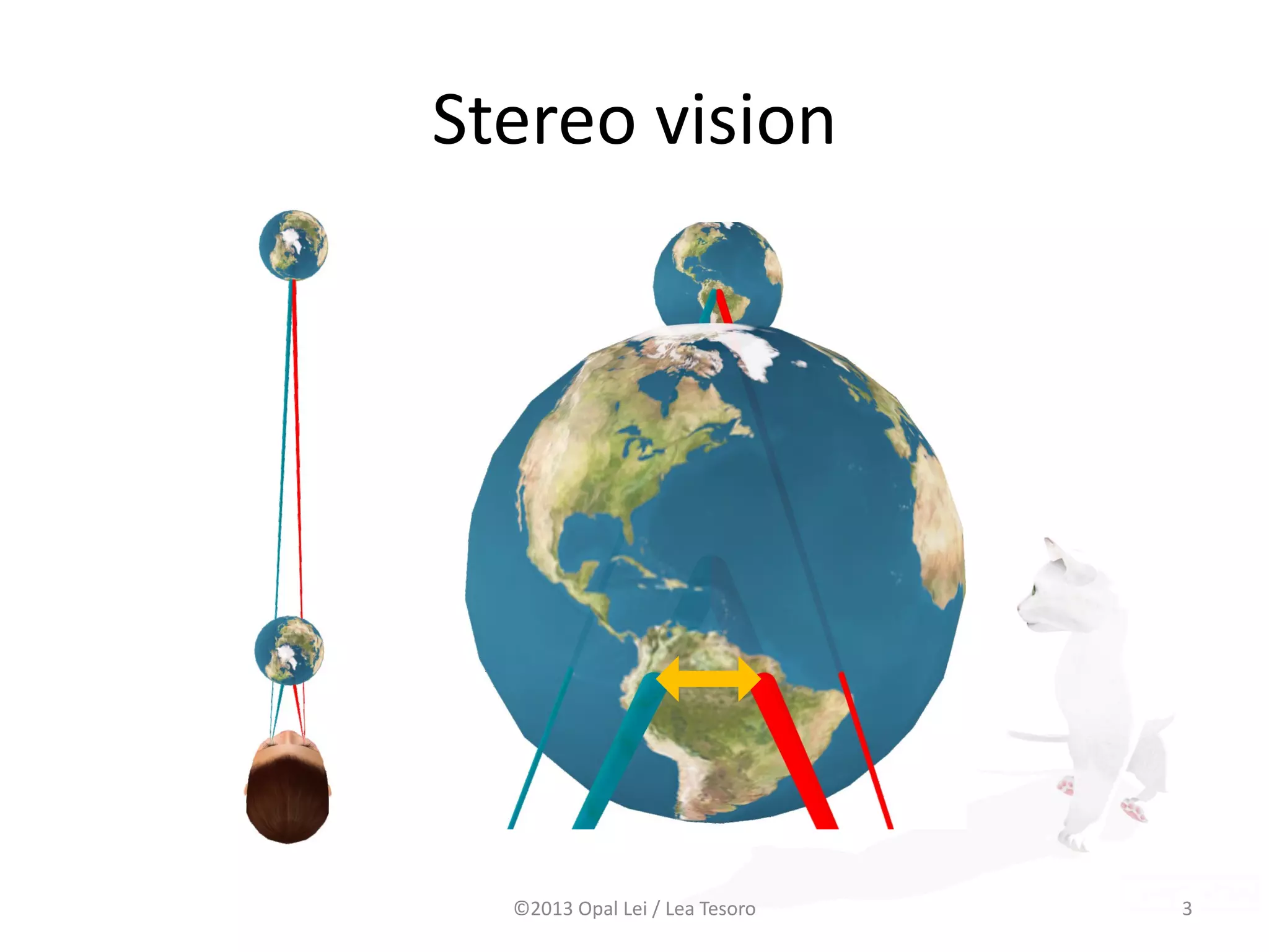 Stereo vision
©2013 Opal Lei / Lea Tesoro 3
 