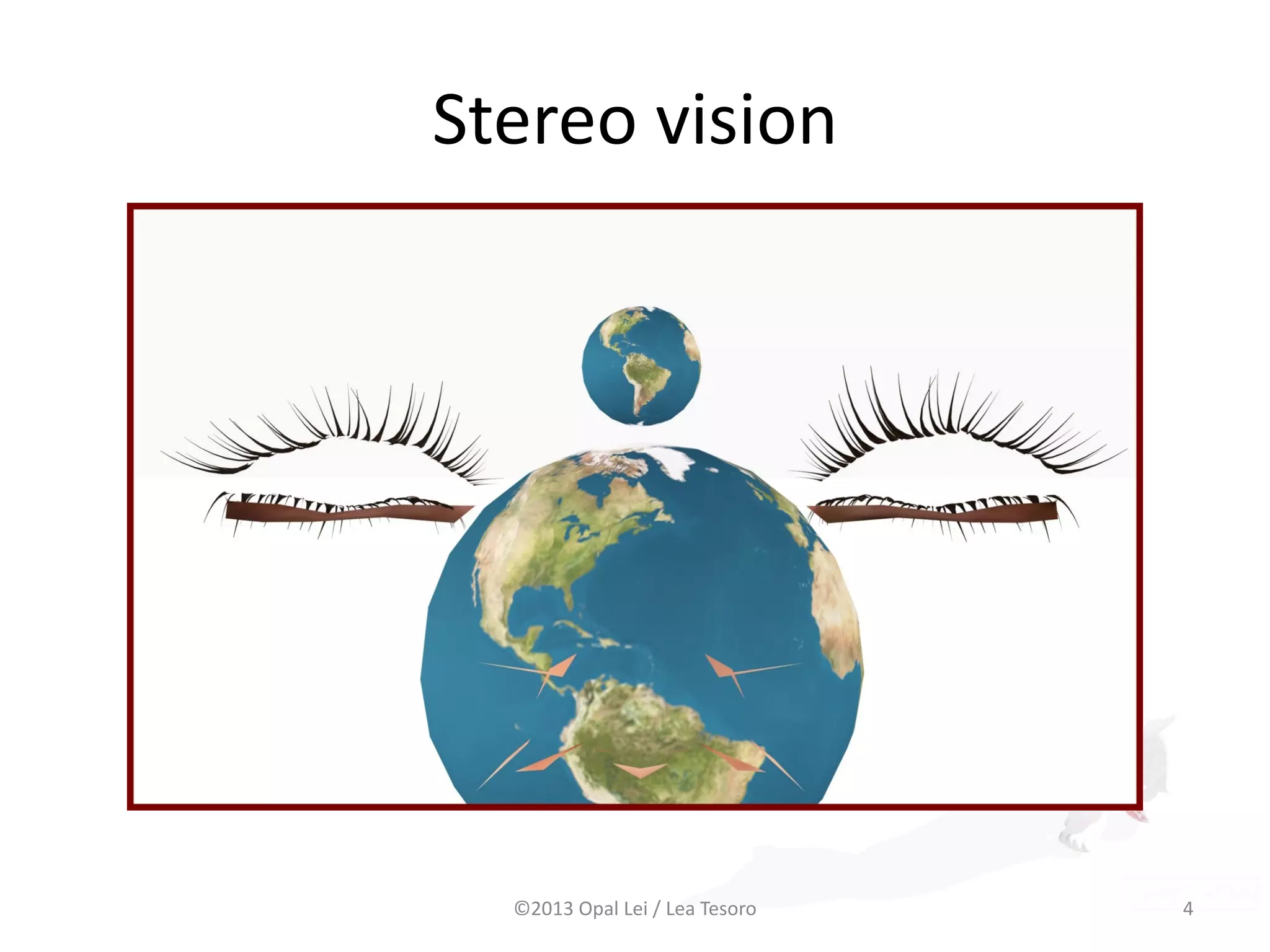 Stereo vision
©2013 Opal Lei / Lea Tesoro 4
 