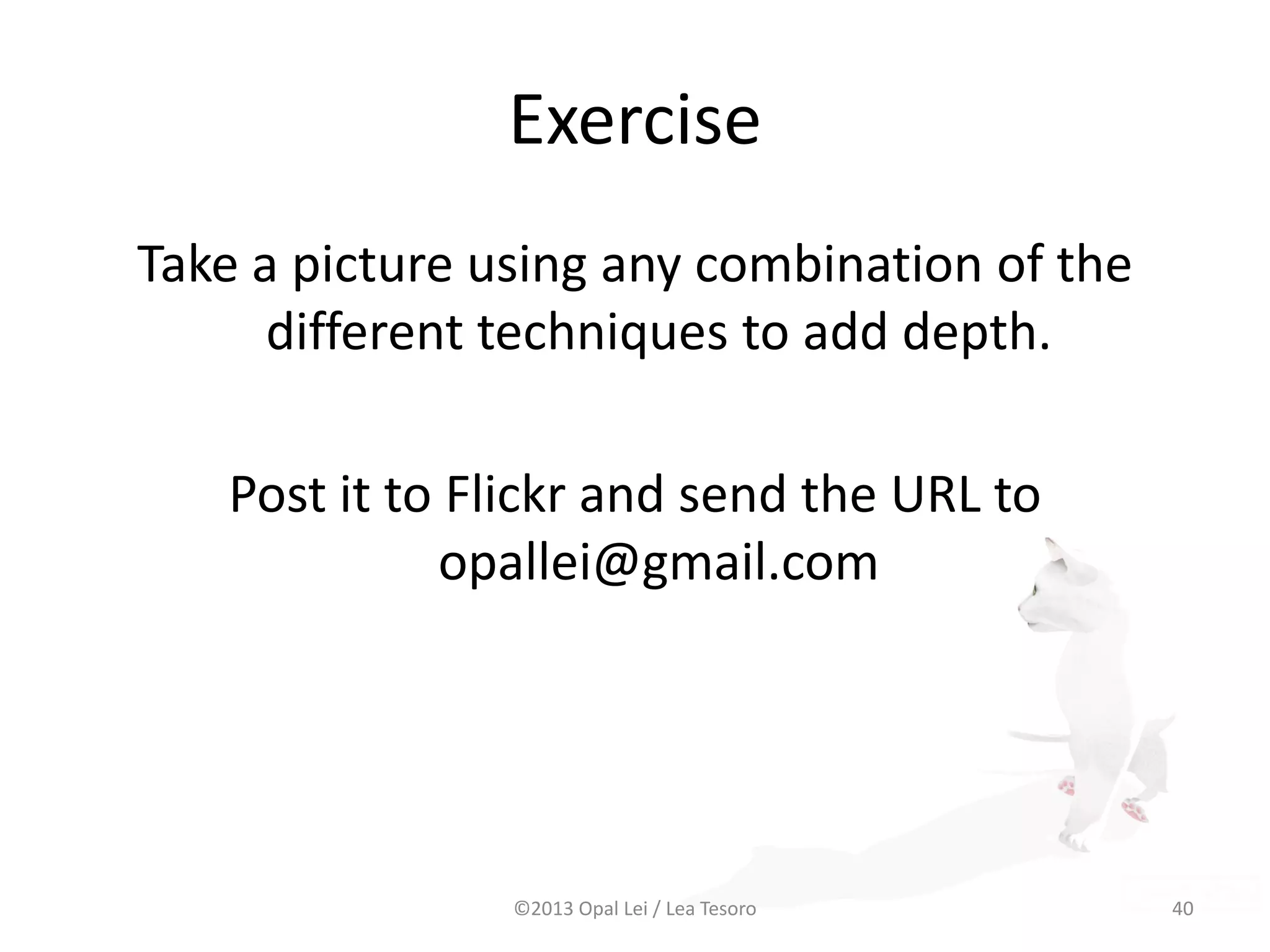 Exercise
Take a picture using any combination of the
different techniques to add depth.
Post it to Flickr and send the URL to
opallei@gmail.com
©2013 Opal Lei / Lea Tesoro 40
 
