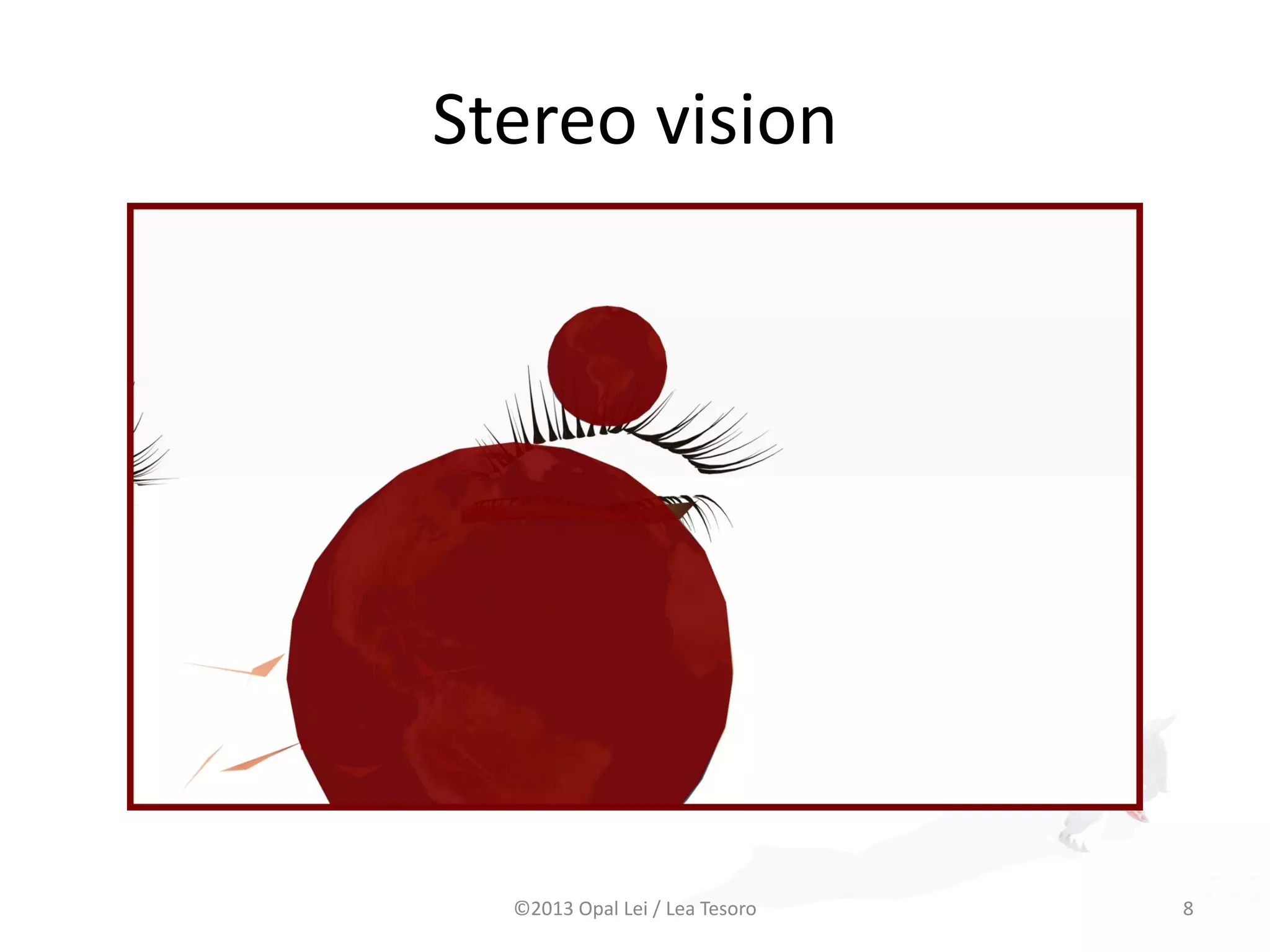 Stereo vision
©2013 Opal Lei / Lea Tesoro 8
 