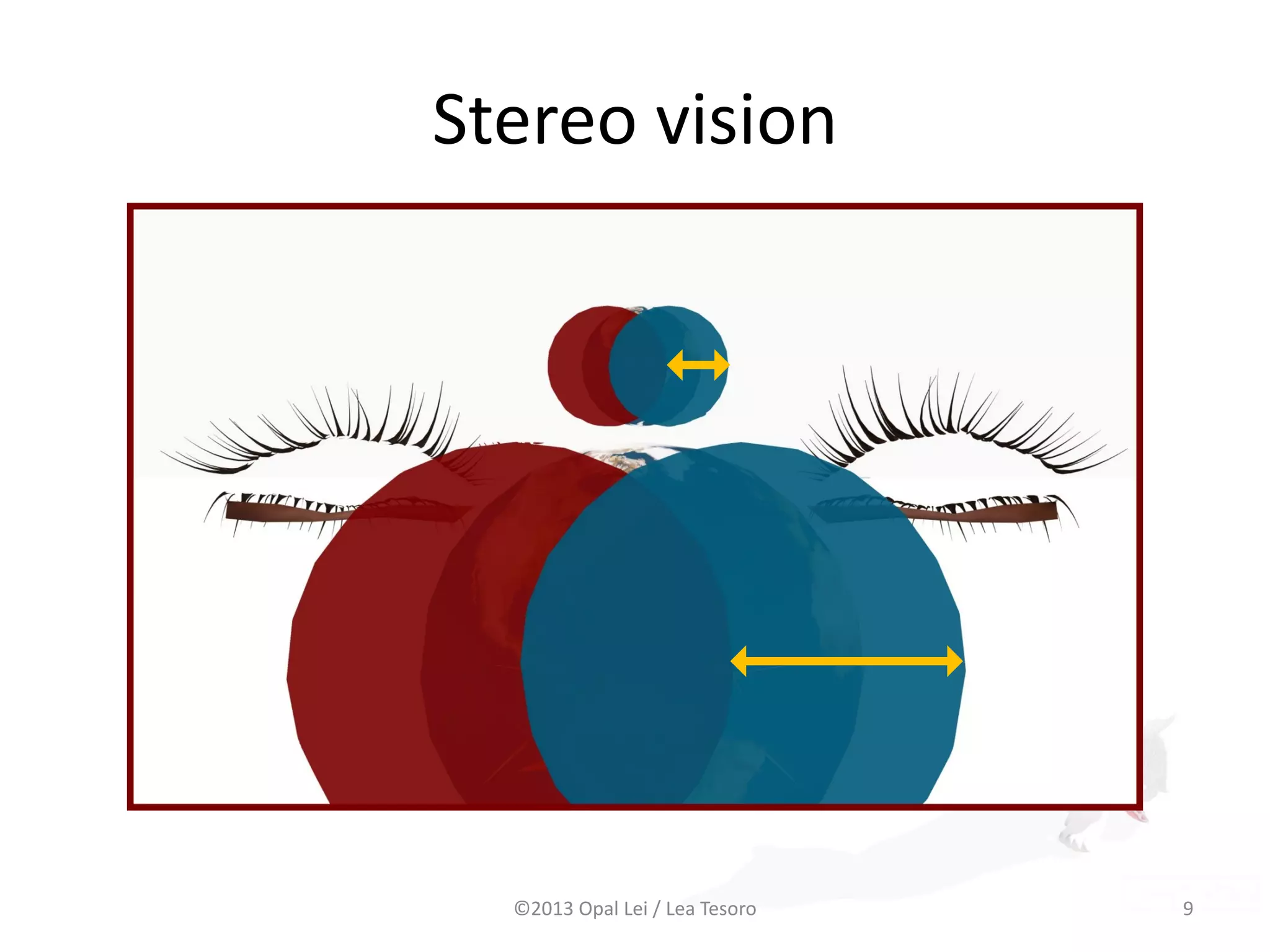 Stereo vision
©2013 Opal Lei / Lea Tesoro 9
 