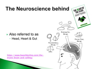  Also referred to as
◦ Head, Heart & Gut
https://www.bworldonline.com/the-
triune-brain-and-selling/
 