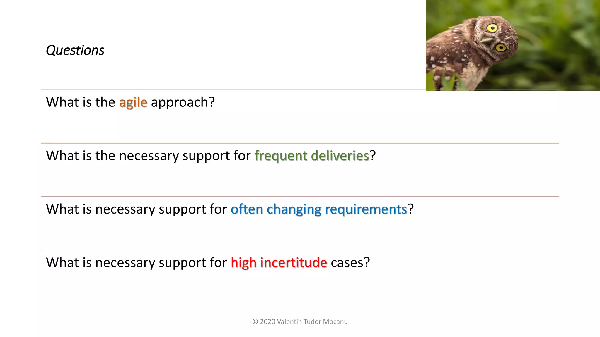 Questions
What is the agile approach?
What is the necessary support for frequent deliveries?
What is necessary support for often changing requirements?
What is necessary support for high incertitude cases?
© 2020 Valentin Tudor Mocanu
 