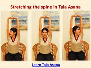 Stretching the spine in Tala Asana
Learn Tala Asana
 