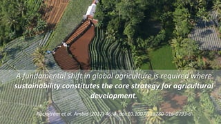 Enhancing soil organic carbon (SOC) sequestration: myth or reality in Africa?