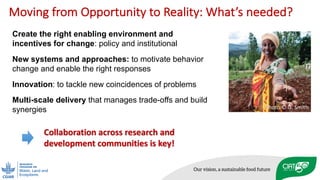 Enhancing soil organic carbon (SOC) sequestration: myth or reality in Africa?