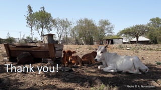 Enhancing soil organic carbon (SOC) sequestration: myth or reality in Africa?