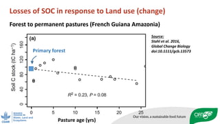 Enhancing soil organic carbon (SOC) sequestration: myth or reality in Africa?