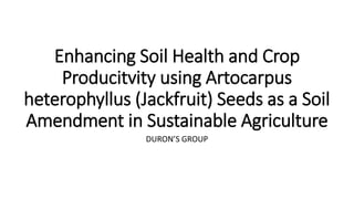 Enhancing Soil Health and Crop
Producitvity using Artocarpus
heterophyllus (Jackfruit) Seeds as a Soil
Amendment in Sustainable Agriculture
DURON’S GROUP
 