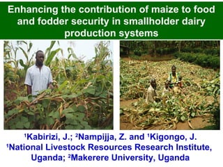 Enhancing the contribution of maize to food
and fodder security in smallholder dairy
production systems
1
Kabirizi, J.; 2
Nampijja, Z. and 1
Kigongo, J.
1
National Livestock Resources Research Institute,
Uganda; 2
Makerere University, Uganda
 