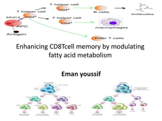 Enhanicing CD8Tcell memory by modulating
fatty acid metabolism
Eman youssif
 