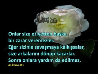 Onlar size eziyetten başka
bir zarar veremezler.
Eğer sizinle savaşmaya kalkışsalar,
size arkalarını dönüp kaçarlar.
Sonra onlara yardım da edilmez.
Ali-İmran-111
 