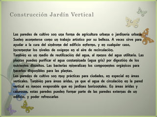 Construcción Jardín Vertical


 Las paredes de cultivo son una forma de agricultura urbana o jardinería urbana.
 Suelen acometerse como un trabajo artístico por su belleza. A veces sirve para
 ayudar a la cura del síndrome del edificio enfermo, y en cualquier caso,
 incrementar los niveles de oxígeno en el aire de recirculación.
 También es un medio de reutilización del agua, al menos del agua utilitaria. Las
 plantas pueden purificar el agua contaminada (agua gris) por digestión de los
 nutrientes disueltos. Las bacterias mineralizan los componentes orgánicos para
 hacerlos disponibles para las plantas.
 Las paredes de cultivo son muy prácticas para ciudades, en especial en áreas
 verticales. También para áreas áridas, ya que el agua de circulación en la pared
 vertical es menos evaporable que en jardines horizontales. En áreas áridas y
 calurosas, estas paredes pueden formar parte de las paredes externas de un
 edificio, y poder refrescarlas
 